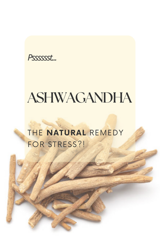 Why Everyone’s Talking About Ashwagandha—and Should You Be Too?